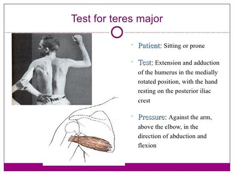 teres major tear test|palpation of teres minor.